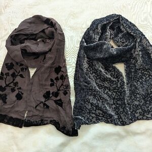 Two Silk Blend Velvet Burnout Scarf